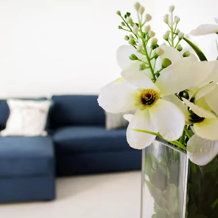 Rocha With A View To The Marine *